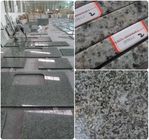 Bonne résistance à la corrosion de granit de dureté élevée solide préfabriquée de plans de travail