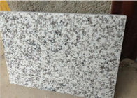 Le blanc gris-clair argenté blanc blanc blanc tongan blanc de G655 Tomie Bianco Seasame polised les dalles en pierre de tuiles de granit