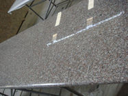 Matière première de granit de Brown de granit naturel de haute résistance solide de plans de travail