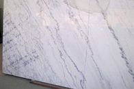 Panneaux de mur de marbre à haute densité pour des douches/pièce, plancher de marbre blanc de dalle