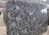 Dalle noire de granit de mosaïque pour le dessus de travail, hautes dalles de pierre de granit de dureté