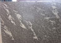 Les tuiles grises de pierre de granit de neige avec le blanc veine la densité de 2.8kg/³ de M