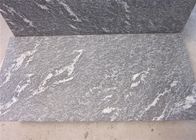 Les tuiles grises de pierre de granit de neige avec le blanc veine la densité de 2.8kg/³ de M