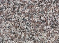 Les dalles en pierre naturelles de granits polies finissent grandes dalles de 240up X1200up X les 2cm