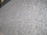 Couleur grise de perle de fleur Bianco Antico de dalle matérielle de granit du granit G383