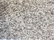 Les dalles grises de granit de nouvelles partie supérieure du comptoir du granit G439/ont poli la taille de coutume de dalles