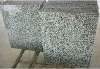 Carrelages extérieurs solides de pierre de granit, dalles naturelles grises de pierre de granit