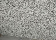 tuiles de salle de bains de granit de la résistance à la pression 66.5Mpa, carrelages gris de granit