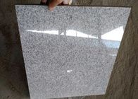 Tuiles d'intérieur/extérieures de granit, carrelage aiguisé dur gris-clair de granit