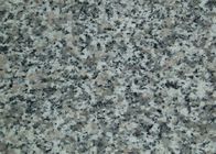 Tuiles de pierre de granit de matériau de construction/tailles de dalle différentes facultatives