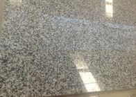 Tuiles de pierre de granit de matériau de construction/tailles de dalle différentes facultatives
