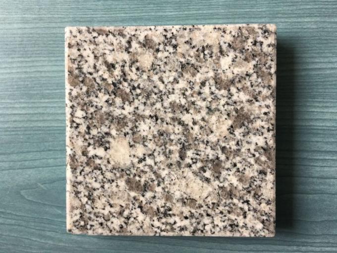 Granit gris de couleur de bêta très Competitve des prix de Rosa propriétaire de carrière