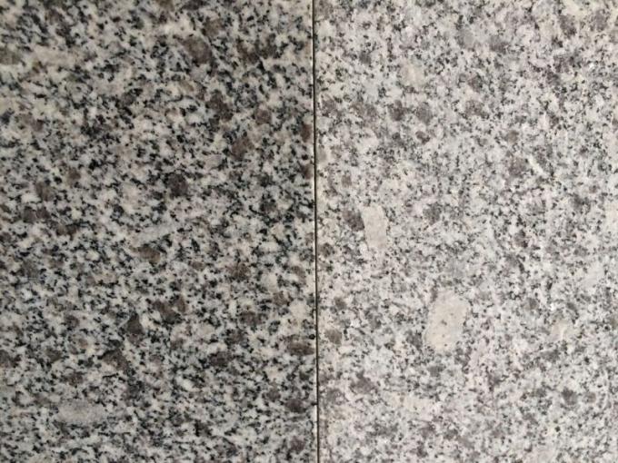 Granit gris de couleur de bêta très Competitve des prix de Rosa propriétaire de carrière